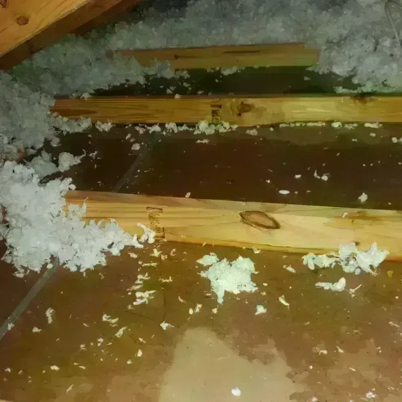 Attic Water Damage in Point Pleasant, WV