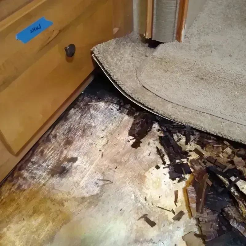 Best Wood Floor Water Damage Service in Point Pleasant, WV